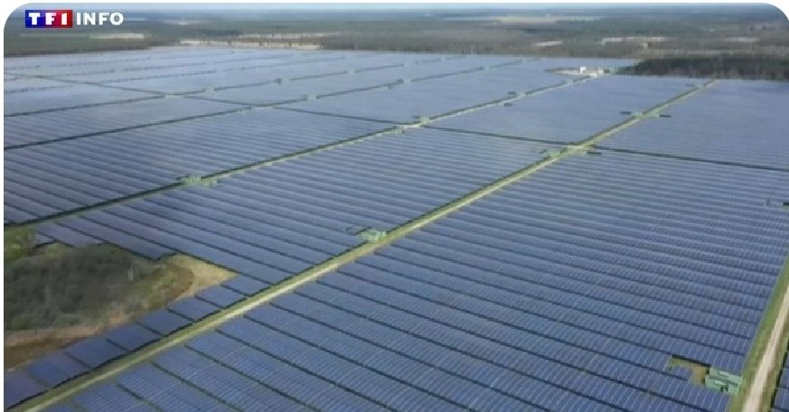 Le projet '#écologique' le plus con de l'histoire ! ⤵️ Ils veulent construire la plus grande centrale solaire de #France, en pleine forêt. Ce projet prévoit la construction d'un parc photovoltaïque sur 680 hectares en Gironde. 1200 hectares de cette #forêt seront déboisés,