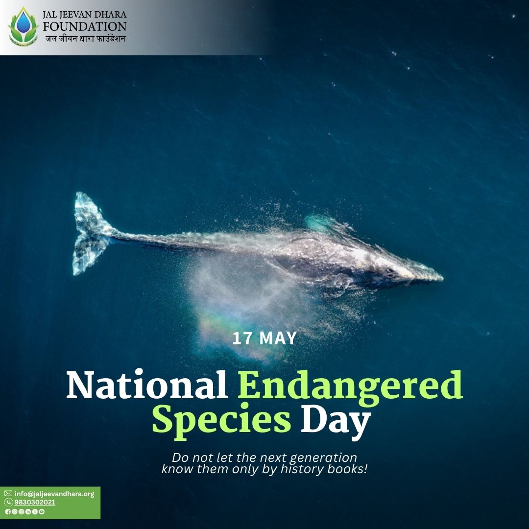 From the smallest insect to the largest mammal, every species counts, So, let us act on this National Endangered Species Day to ensure tomorrow's wildlife. 

#Endangered #protectourplanet #nationalendangeredspeciesday #SaveThemAll #NatureNurtures #NatureWonders
