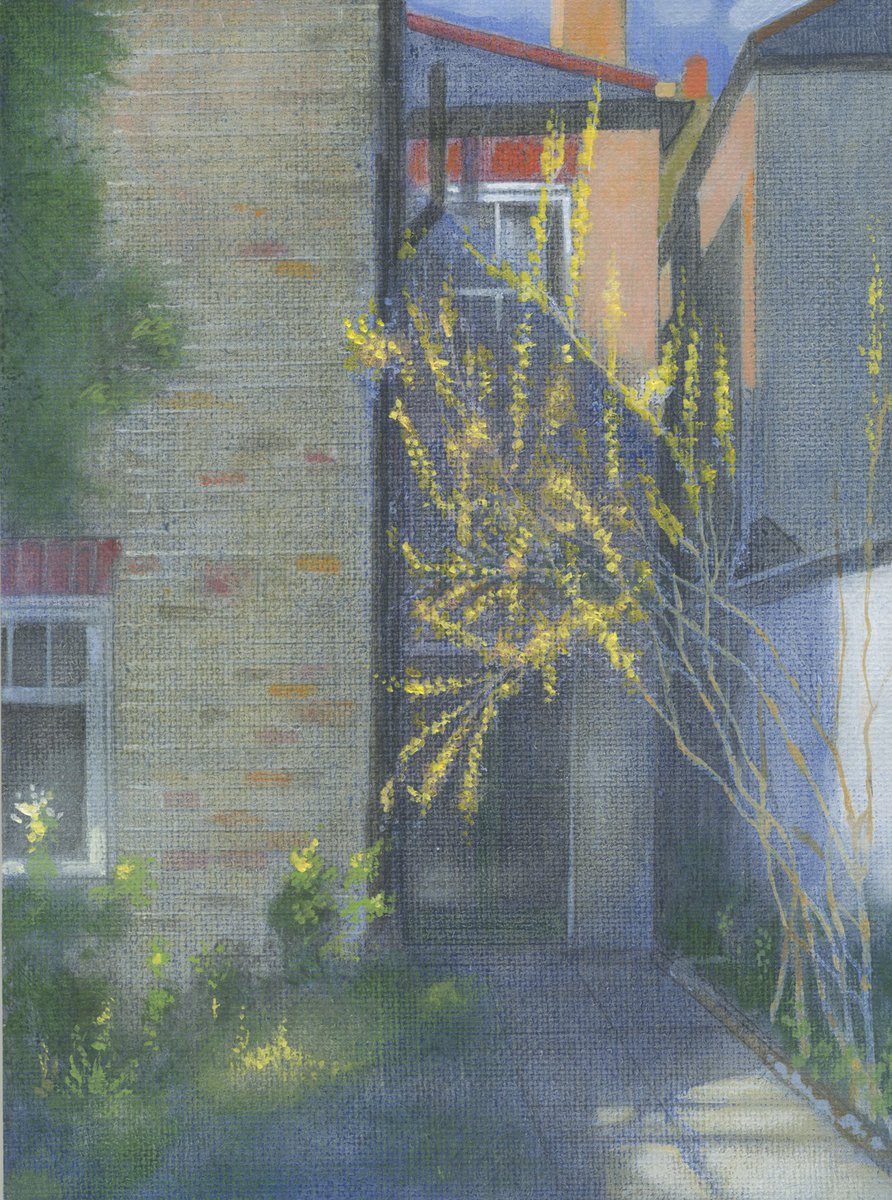 Back of the House with Forsythia: acrylic on linen 2024