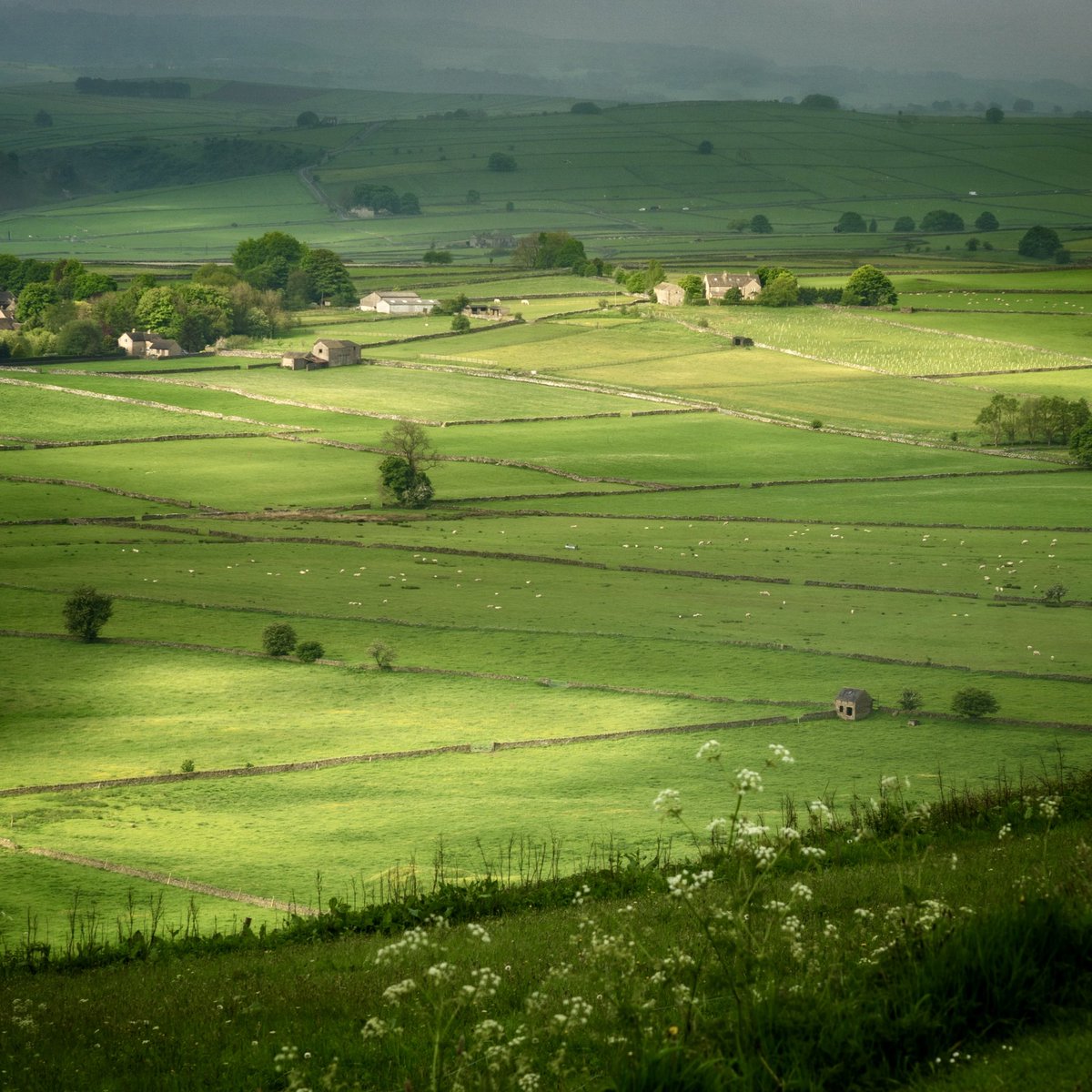 Oh I could stand for hours and watch splashes of sunshine on the land, falling through clouds to spotlight scattered farms and barns. A view that’s constant and yet ever-changing. #peakdistrict