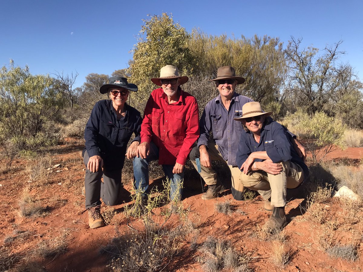 Richard McLellan ξ¨ / kaarnka (raven/crow - Martu) (@richardmclellan) on Twitter photo And thatβs a wrap: <a href="/BushHeritageAus/">Bush Heritage</a> volunteers Anne Williams & Garry McDonald with Bon Bon Station Reserve managers Wayne & Karen Lawrence after planting Australian Sandalwood (Santalum spicatum) seed along a creek line on Bon Bon.
Antakirinja Matu-Yankunytjatjara Country And thatβs a wrap: <a href="/BushHeritageAus/">Bush Heritage</a> volunteers Anne Williams & Garry McDonald with Bon Bon Station Reserve managers Wayne & Karen Lawrence after planting Australian Sandalwood (Santalum spicatum) seed along a creek line on Bon Bon.
Antakirinja Matu-Yankunytjatjara Country