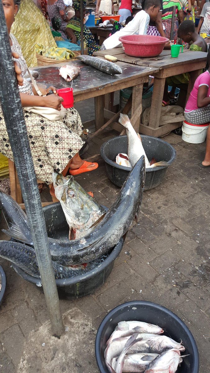 📍Makoko Fish Market: Lagos, Nigeria 🇳🇬