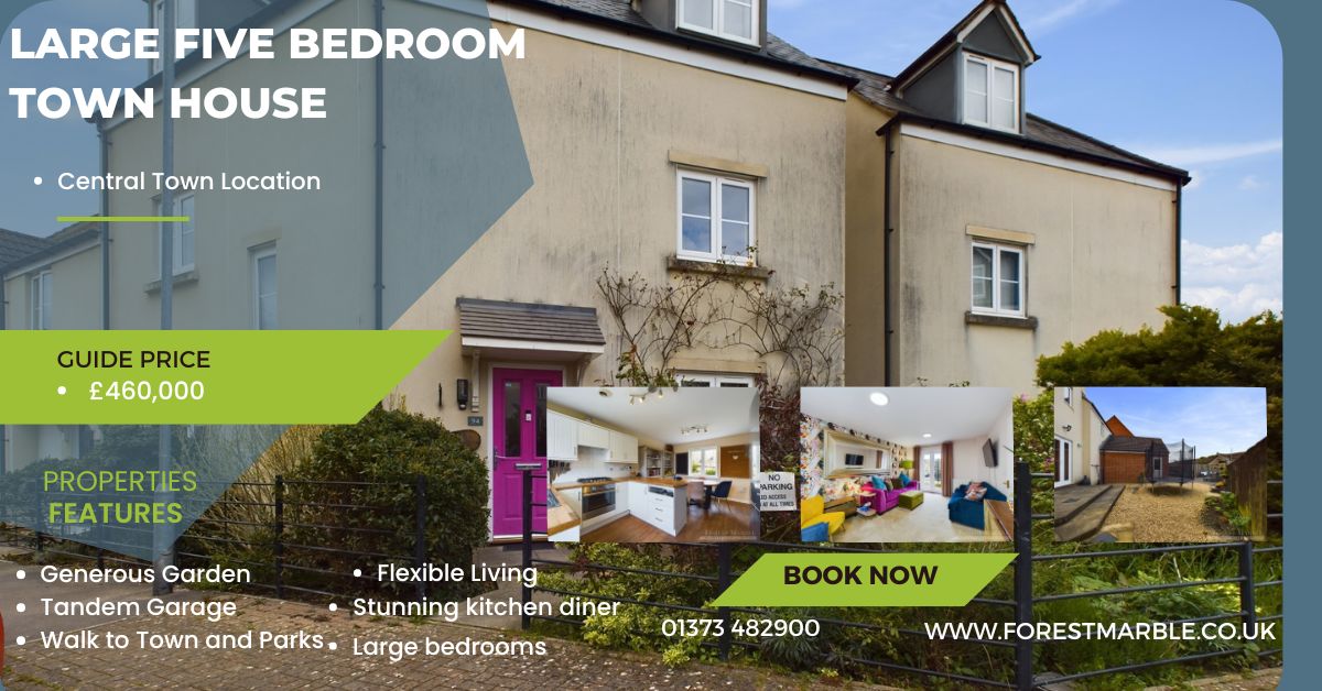 Forest Marble tweet media