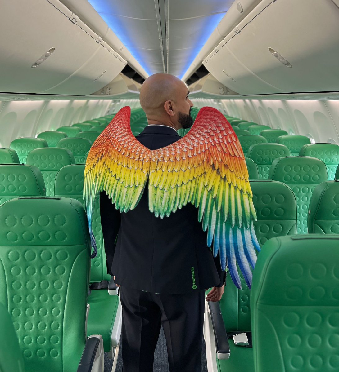 Toutes ailes déployées pour soutenir la diversité chez @transaviaFR. Bon vol à tous les équipages #LGBT du groupe #airfrance qui sillonneront le ciel toute cette journée du #17mai pour faire rayonner l’esprit de l’#idahobit aux quatre coins du monde. #inclusion