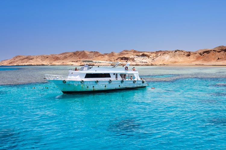 The Egyptian Streets newspaper reported that Salah El-Din Atef, a CEO of one of Sharm El Sheikh’s tourism companies, as saying that Tiran and Sanafir were crucial for the local dive industry. divemagazine.com/scuba-diving-n…