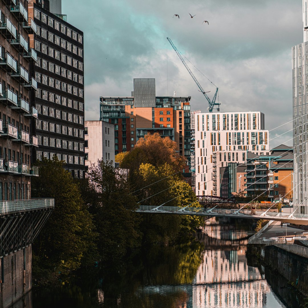 Introducing a new team member: Willow. The overly enthusiastic tree who loves spreading their roots. 🌳

Can you name the city that Willow is visiting? Clue, it's where More Trees calls home.