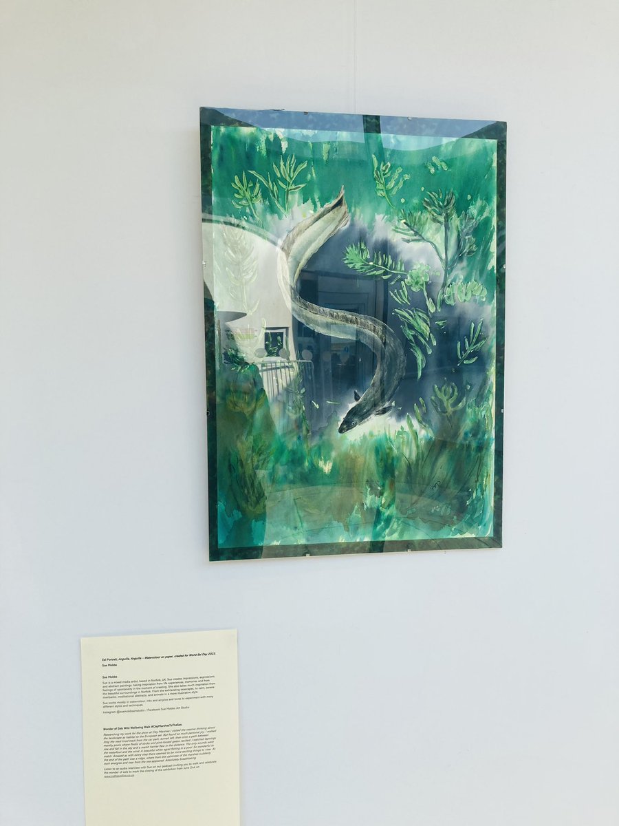 RuthieCollins's tweet image. Stunning portrait of the European eel made for World Eel Day last year highlighting its critically endangered status. On show at @NWTCleyCentre for #worldeelday24 #worldeelday @suemobbsart @IUCNRedList @eelsuitcase #redlist #endangeredspeciesday