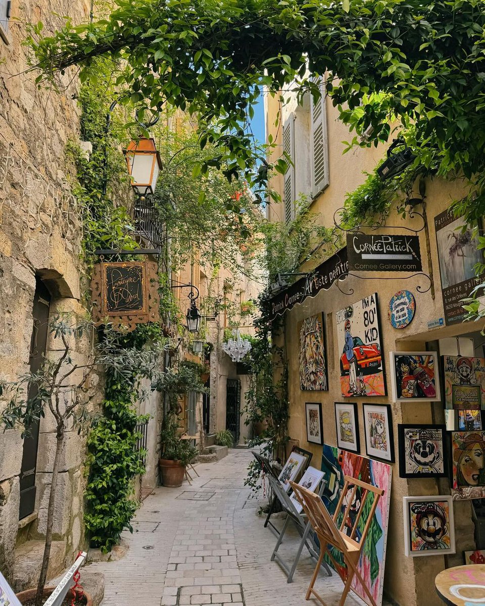 Bonne journée en #CotedAzurFrance ☀️ 📍#Mougins 📸ambreverywhere (IG) #departement06 @euro_tour @departement06