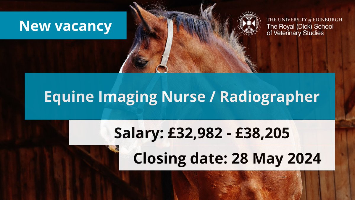 We are looking for an Equine Imaging Nurse/Radiographer to join our team! 

Post is suitable for a radiographer or RVN with significant experience of, and interest in, equine imaging.  Horse handling skills are essential.

More info: edin.ac/3Iutp15
Apply by 28 May