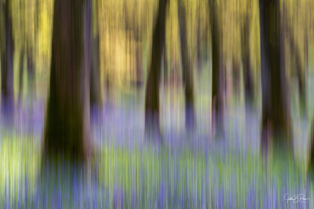 An abstract created by intentionally moving the camera in the bluebell woods.