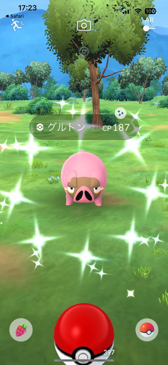 3匹目の色違いグルトン😆

残念ながら全部オス😂

#ポケモンGO 
#色違いポケモン 
#色違いグルトン