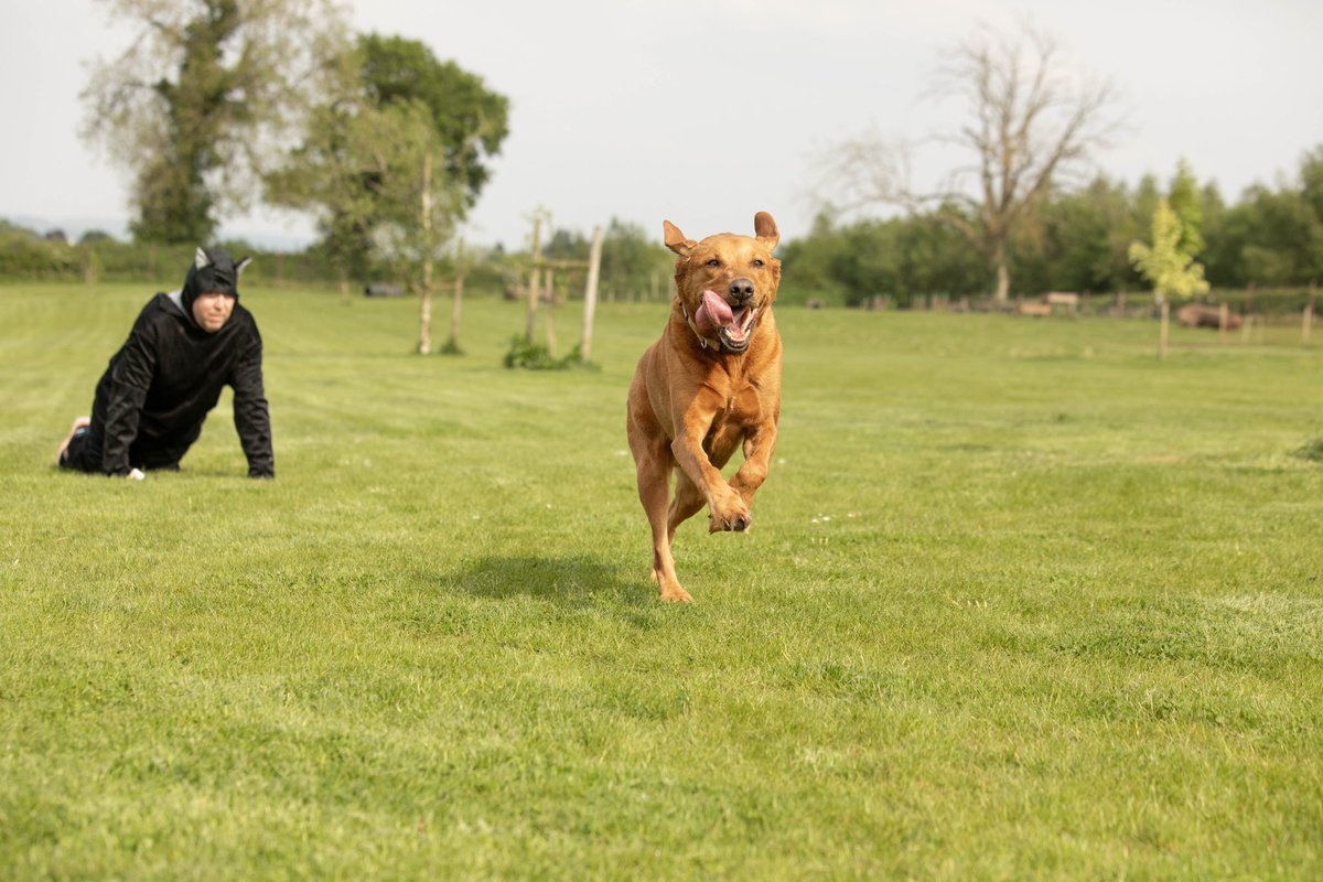 Well tomorrow will be 2/3 Muddy Dog events for the dynamic duo. They changed the target and now want to raise £1k for @Battersea_  however we need to get to £200 by tomorrow . justgiving.com/lushlabs