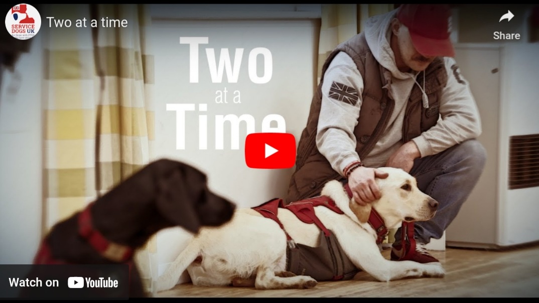 To coincide with #MentalHealthAwarenessWeek Service Dogs UK have released a 16-min video that details the transformative work they do for members of the Armed Forces and Emergency Services community. Read the full story at pathfinderinternational.co.uk/service-dogs-u… #MomentsForMovement #Veterans