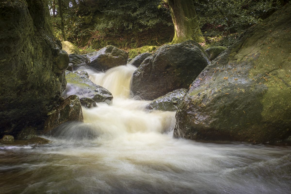 Mahon River @ Crough Woods, #Waterford.