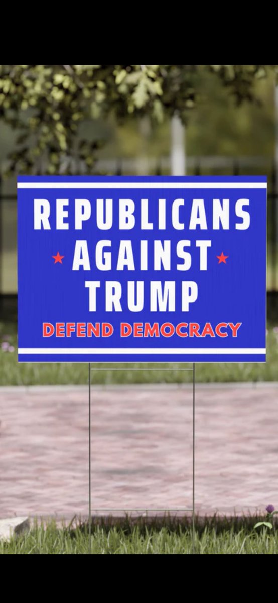 Yes, I’m a lifelong Republican. But today l am witnessing my party destroy itself for one man. A man who is an adjudicated rapist, thief, conman & criminal. Our Supreme Court can no longer be trusted, our Republican leaders can no longer be trusted. America better wake up, NOW!