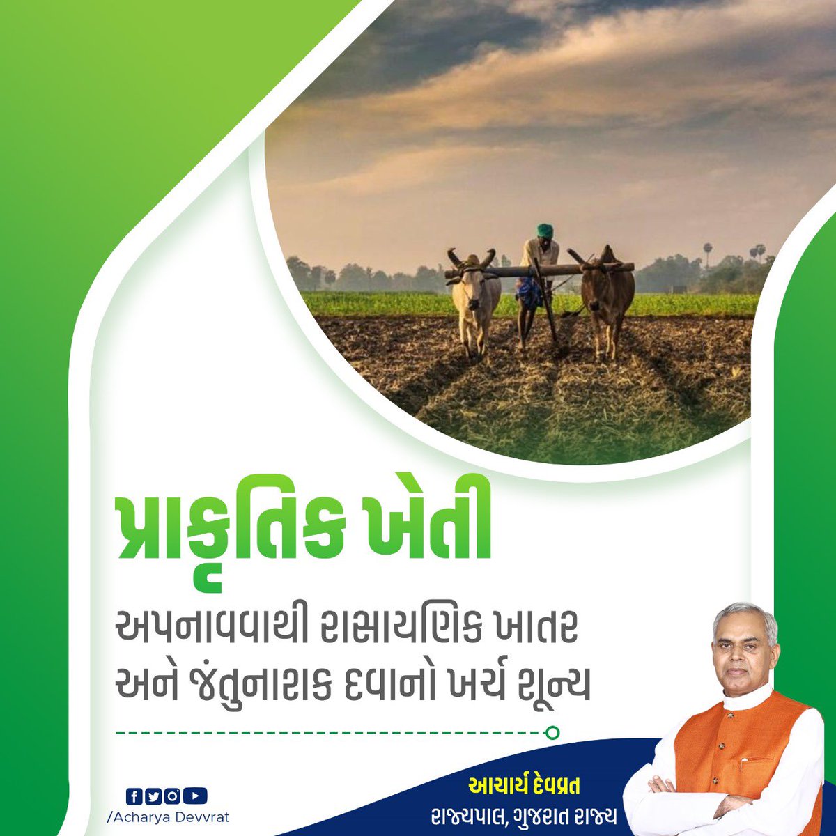 પ્રકૃતિક ખેતી અપનાવવાથી રાસાયણિક ખાતર અને જંતુનાશક દવાનો ખર્ચ શુન્ય.. 

#AcharyaDevvrat #NaturalFarming #PrakrutikKrushi