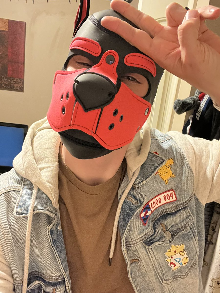Zander 🐶 (@zander_pup) / Posts / X
