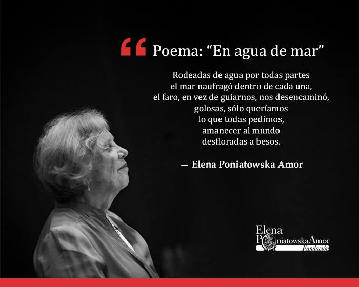 Quisiera tener la certeza de que te voy a ver mañana y pasado mañana y siempre en una cadena ininterrumpida de días; que podré mirarte lentamente aunque ya me sé cada rinconcito de tu rostro; que nada entre nosotros ha sido provisional o un accidente. #ElenaPoniatowska92