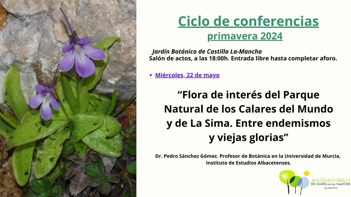 Os invitamos a la tercera conferencia de primavera 2024🌹.

Toda la información en la imagen.

😊¡Os esperamos!😊

#jardinbotanicoclm #conferencias #flora #endemismos #albacete #parquenaturaldeloscalaresdelmundoydelasima #castillalamancha