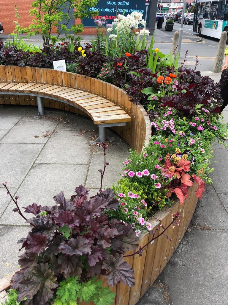 Allerton in Bloom are at Allerton Farmers Market Saturday 9 - 1pm If you want some beautiful cheap plants 🪴 then come and see them, Sue is brilliant for planting advice too All the money raised will go towards funding the stunning planters that you see around the area