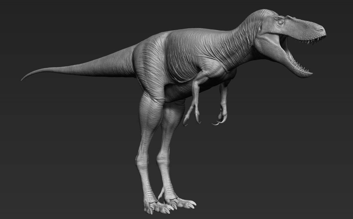 RexyMex_'s tweet image. Ugh, the beast is demonic in nature. Very icky, no good.
Nanotyrannus / Juvenile Tyrannosaurus 3D sculpt.