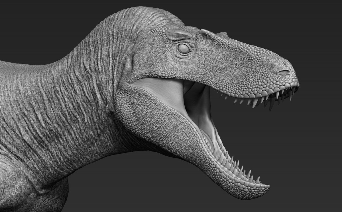 RexyMex_'s tweet image. Ugh, the beast is demonic in nature. Very icky, no good.
Nanotyrannus / Juvenile Tyrannosaurus 3D sculpt.