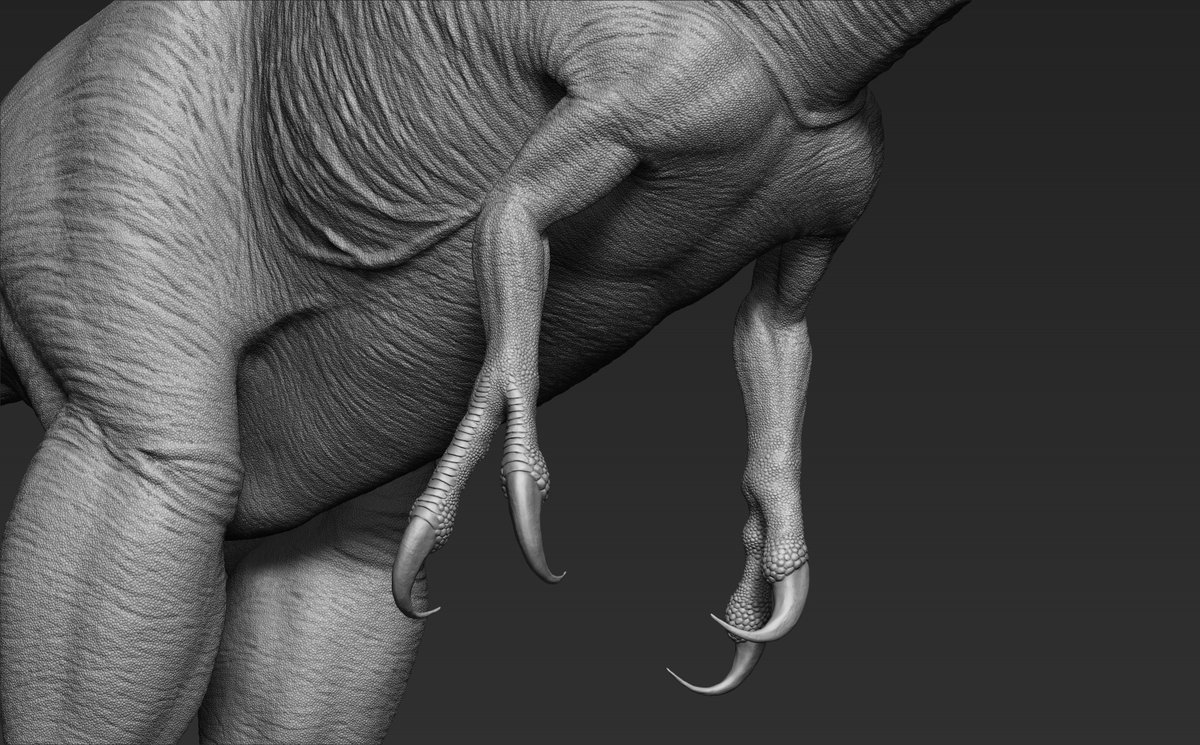 RexyMex_'s tweet image. Ugh, the beast is demonic in nature. Very icky, no good.
Nanotyrannus / Juvenile Tyrannosaurus 3D sculpt.