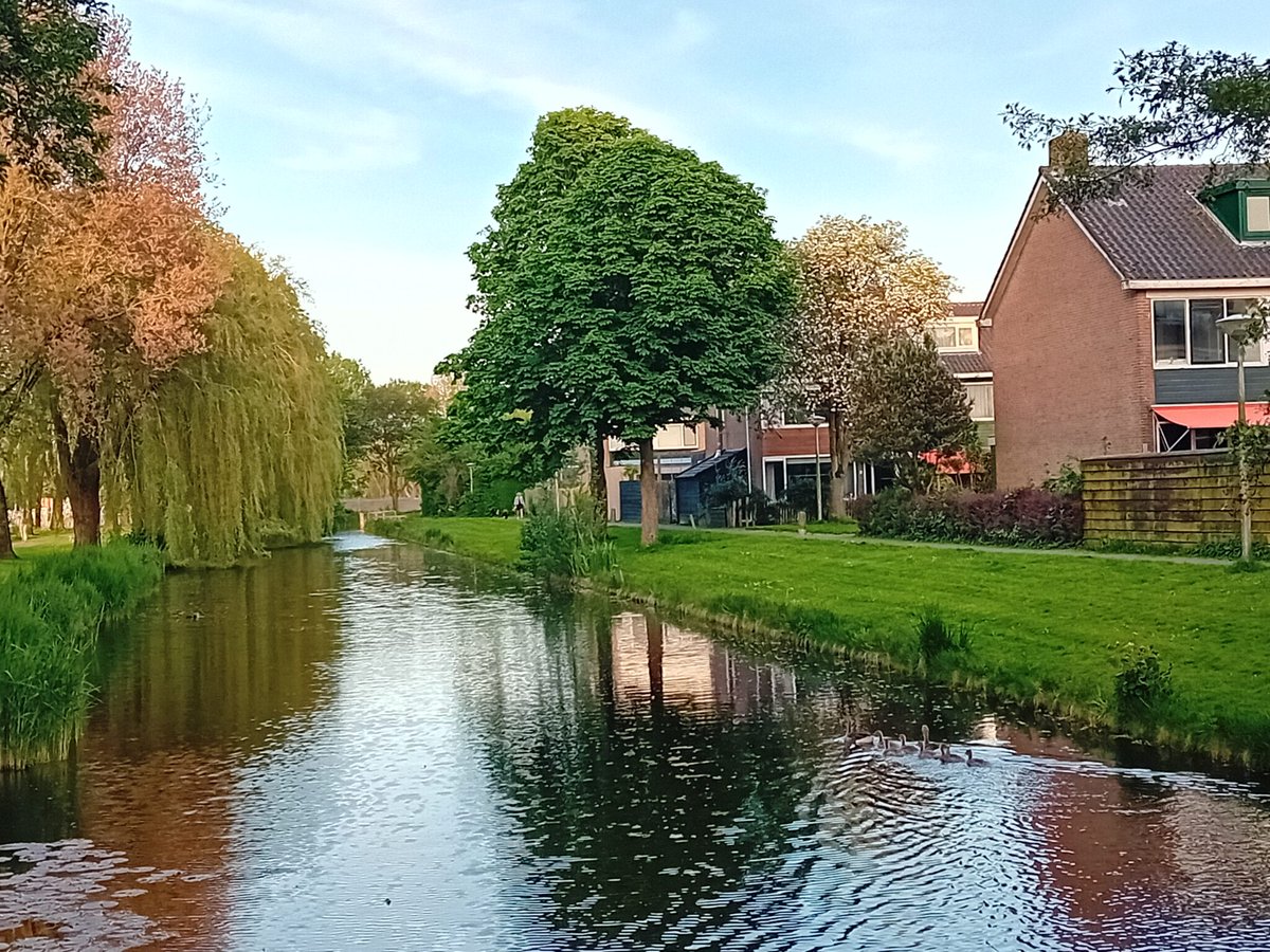 Promotie-avond voor behoud Wijkoverleg Hornmeer - meerbode.nl/promotie-avond…