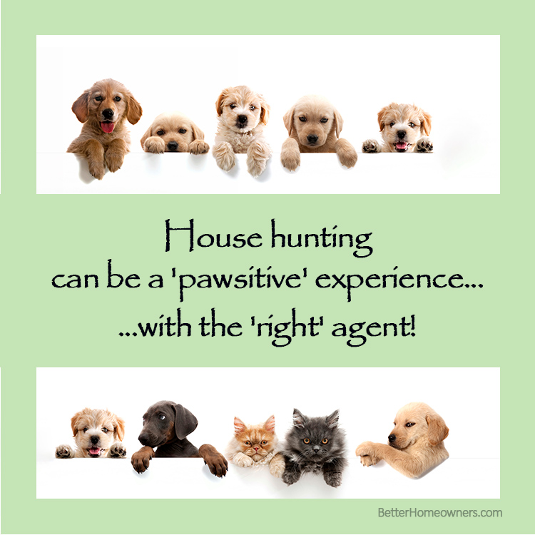 Let's find you the perfect home to share with your fur babies! 🏡🐶😺...Learn more at bh-url.com/ZlMrRitJ #HuntsvilleHomes #HuntsvilleRealEstate