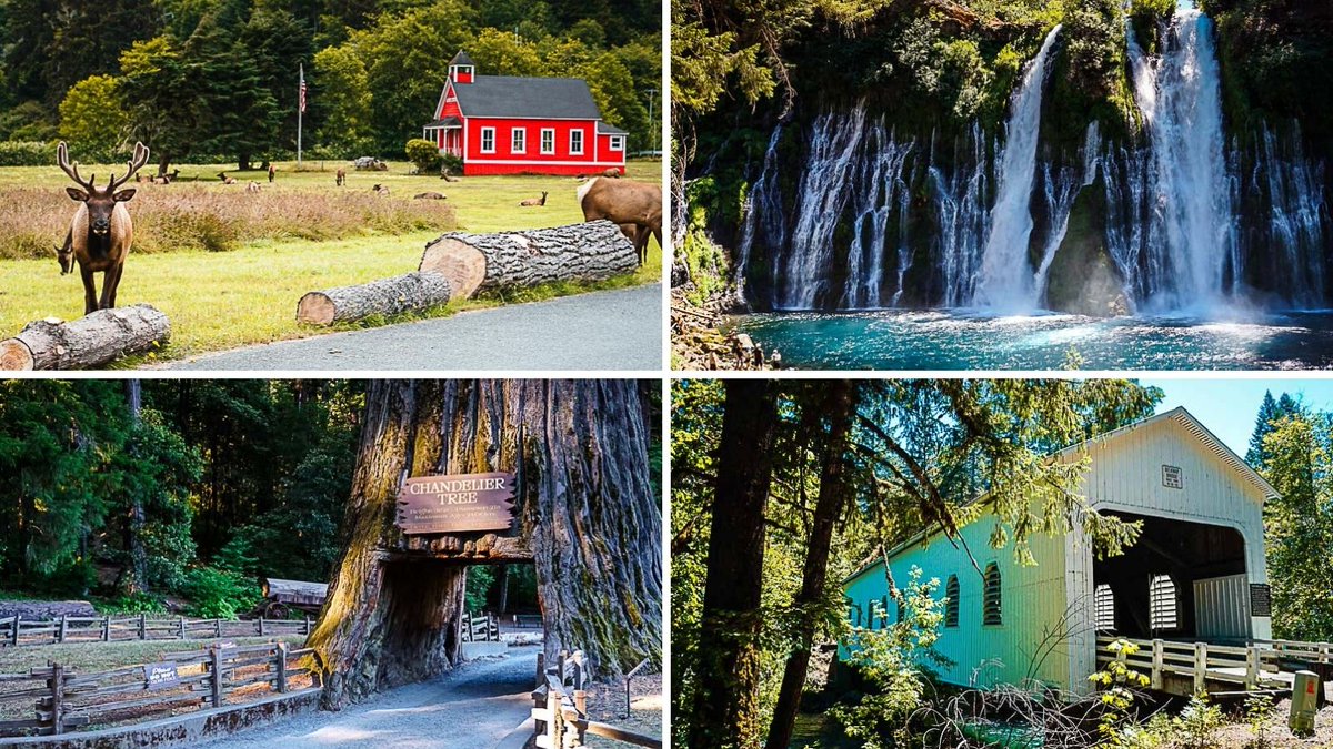 Dreaming of a coastal getaway? Discover the Pacific Northwest's magic on a two-week road trip through Northern California and Oregon. From majestic redwoods to charming coastal towns, this itinerary has it all bit.ly/38KkXfe via @sheriannekay #seetheusa #getoutdoors