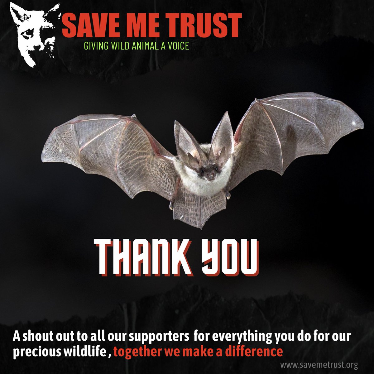 Shout out to all our supporters. Thank you for sharing our petitions. the more people that follow us the louder our voice. Thank you for all your support for everyone here at the trust.