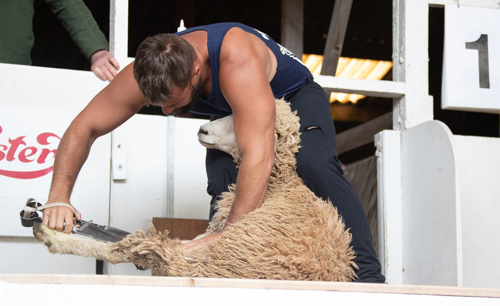 ⭐ Just a HOURS left to get your entries in for ⭐ 🐴 Show Jumping 🐑 Sheep Shearing Don't miss out on the Royal Bath & West Show 2024! Enter now ➡️ loom.ly/mm-lxuI