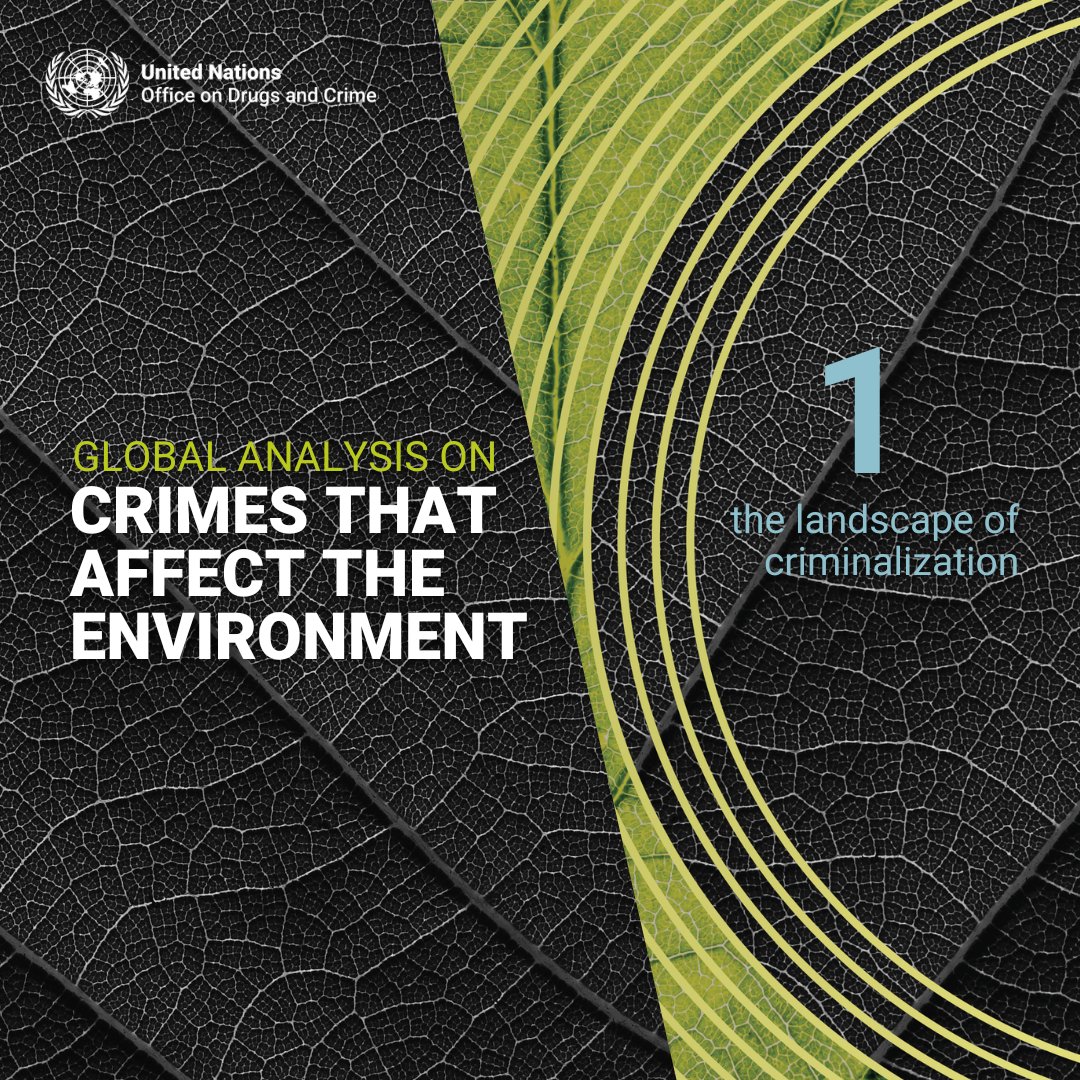 📗New release!

The Global Analysis on Crimes that Affect the Environment explores how criminals are penalized for harming our planet.
 
Discover the scope of punishment for environmental destruction: bit.ly/4bFF2i5 
#endENVcrime