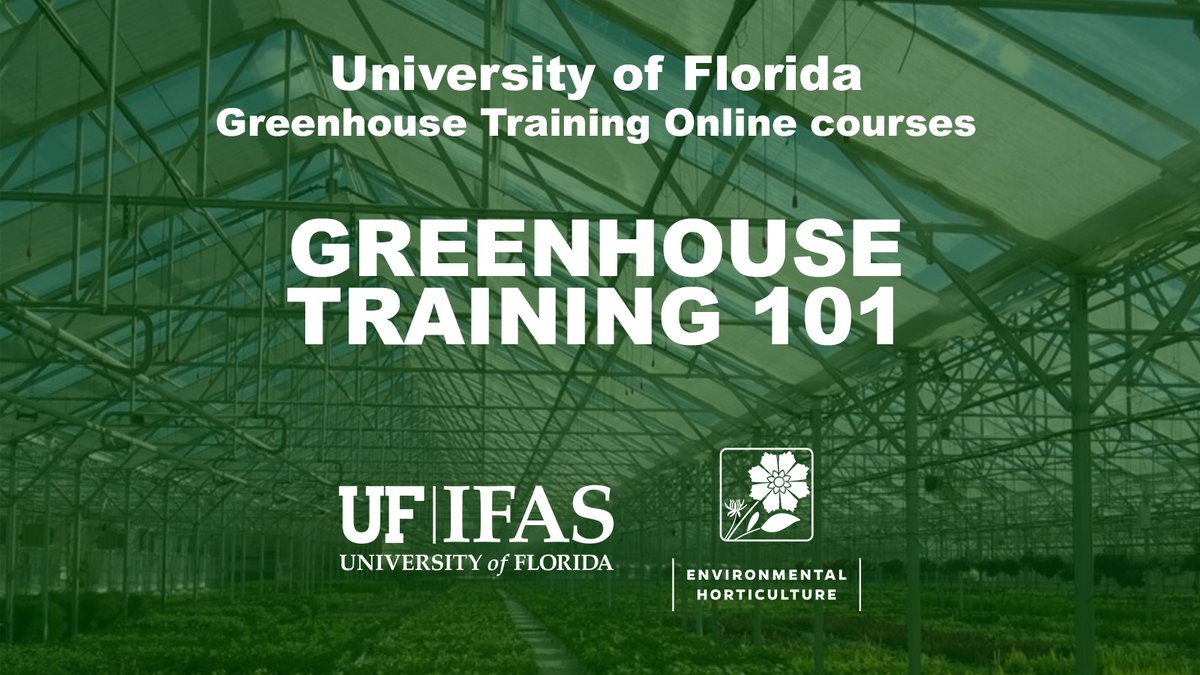 Greenhouse 101 starts on June 3. The award-winning Greenhouse Training Online series Is an introductory course intended for growers without formal horticulture training. Register: ow.ly/P0sc50RIPo1 #ufifas #greenhouse