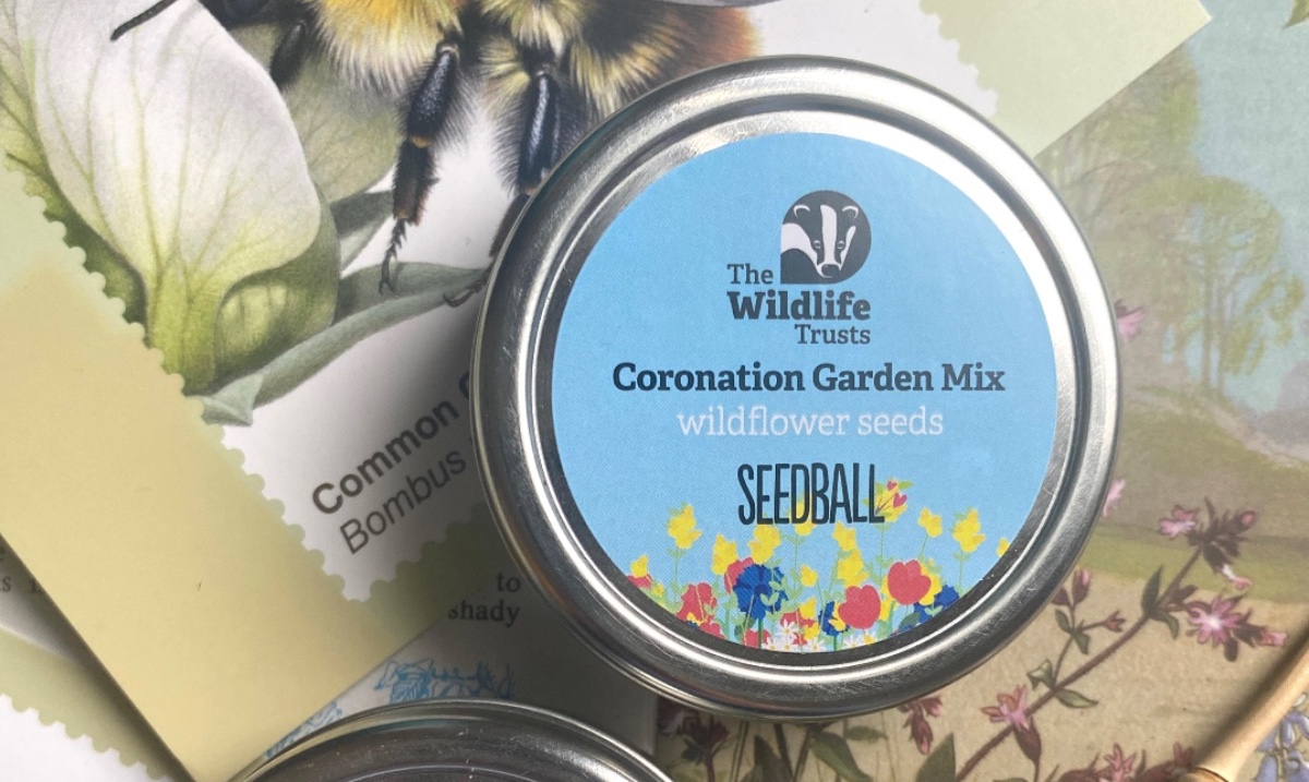Limited Edition Tin – Only available while stocks last! seedball.co.uk/product/corona…