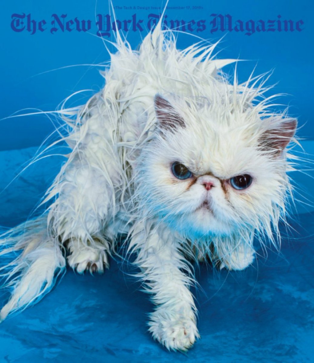 @NoCatsNoLife_m #CatsLover Moi je post une photo de chat réalisée avec #AI parue dans #TheNewYorkTimes Magazine 😹👇