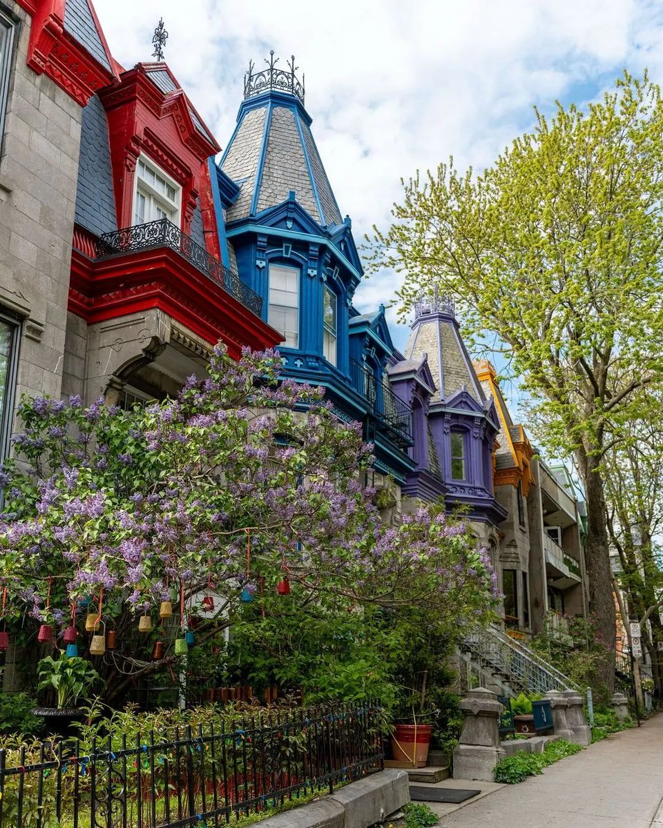 Les jolies maisons du Carré Saint-Louis 🏠❤️ 📷theblueeyedexplorer #Montréal #MTLmoments #PhotoduJour