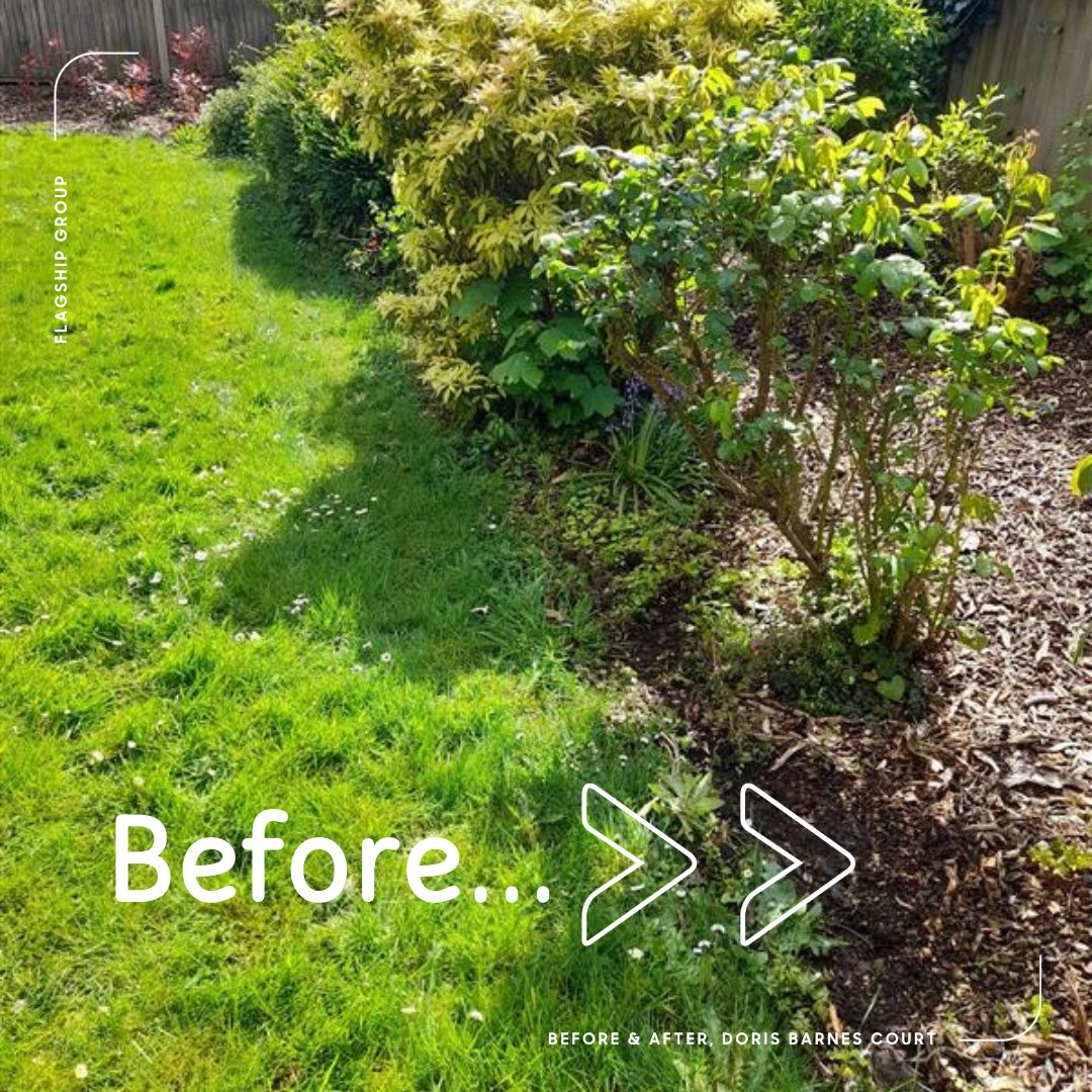 🌱✨ Our neighbourhood officers have been hard at work transforming the green spaces at Doris Barnes Court in Dereham! From tidying up to installing fresh edging, they've worked wonders to enhance the beauty of our community for our tenants’ benefit. #neighbourhood #community