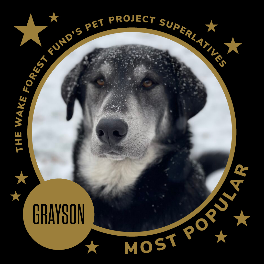 All hail your 2024 Wake Forest Fund Pet of the Year, Grayson! 
Big thanks to Grayson, Badin and all the furry friends who answered the call to support the student experience at Wake Forest.