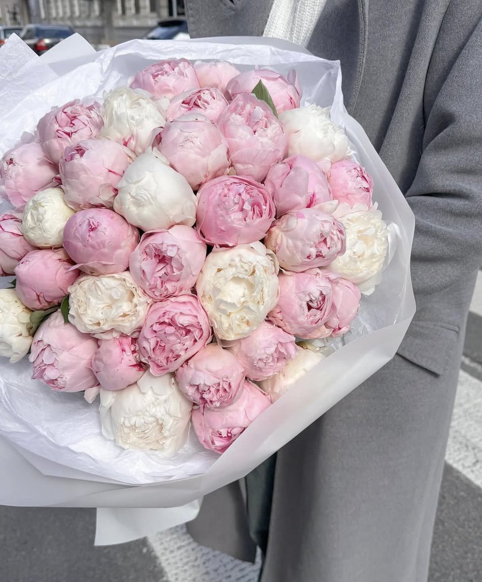 flos______'s tweet image. زیبایی گل پیونی اغوا کنندست