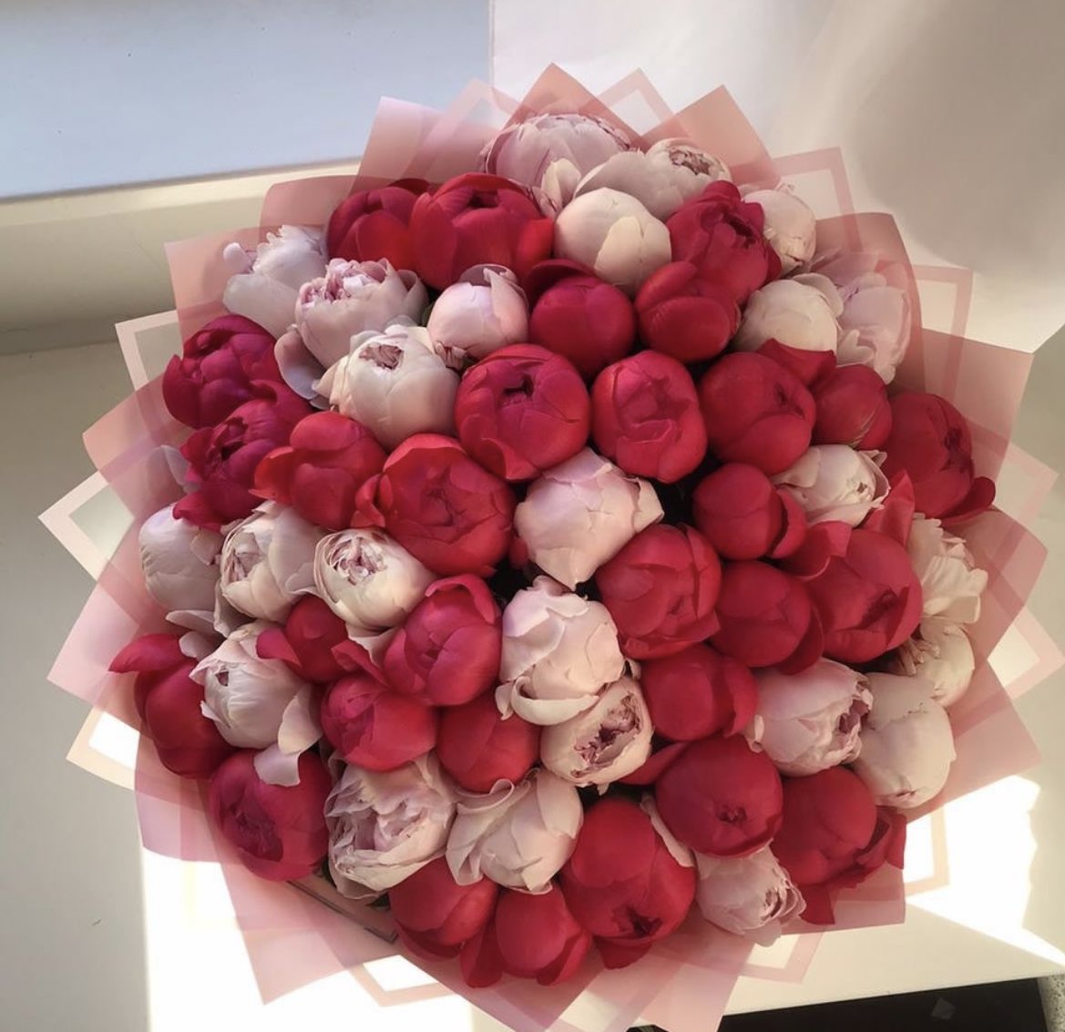 flos______'s tweet image. زیبایی گل پیونی اغوا کنندست