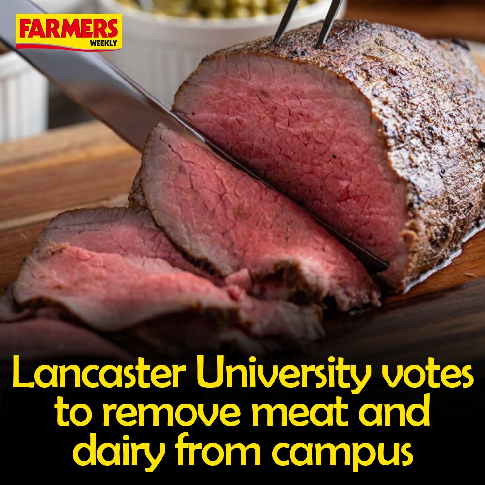 🥩🥛 A small group of students at @LancasterUni has voted to ban meat and dairy products from all campus catering outlets, in a move that will see vegan-only catering by 2027.

READ MORE: fwi.co.uk/news/lancaster…