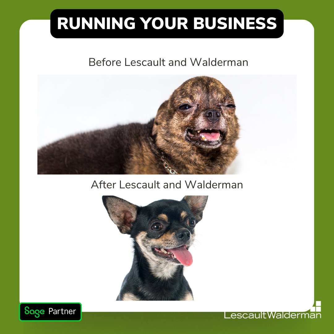 LWIConsulting's tweet image. Simplify your business finances, maximize your success💸
Lescault and Walderman: your trusted accounting and CFO partners.

Get started today: info.l-wconsulting.com/contact

#AccountingExperts #StrategicSolutions