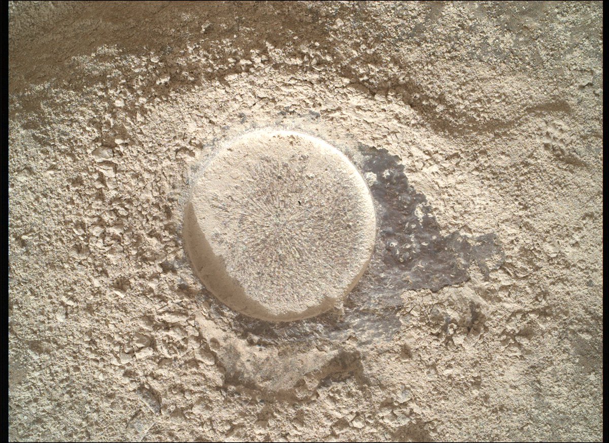 Mars today!

Abrading a pitted rock on the Neretva right bank

Now pixl can analyse it's composition

Hopefully carbonate 

Find me a stromatolite!!!

Sol 1151 1326 hours local

#perseverancerover #samplingMars
