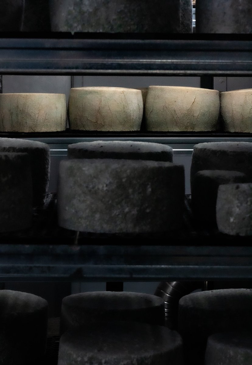 The Book & Bucket Cheese Co (@thebook_bucket) on Twitter photo Stowaway.
Ready on the shelf, awaiting delivery to <a href="/cunardline/">cunardline</a> Queen Anne.
#cheese #bespoke #cunard #cruises Stowaway.
Ready on the shelf, awaiting delivery to <a href="/cunardline/">cunardline</a> Queen Anne.
#cheese #bespoke #cunard #cruises