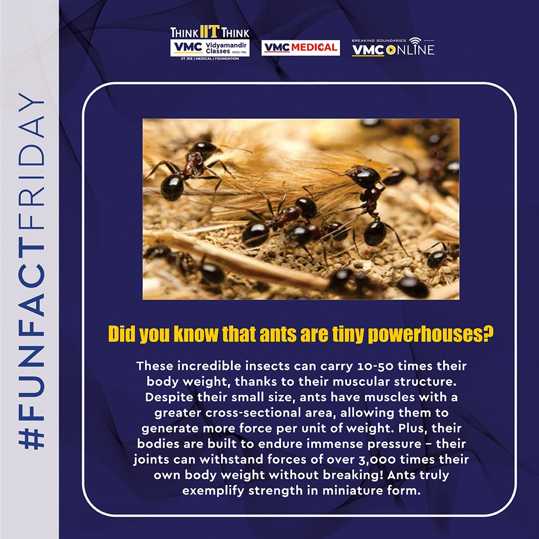 Did you know? Ants are nature's tiny powerlifters! With muscles stronger than you'd imagine and joints built to endure immense pressure..
.
#VMC #VidyamandirClasses #FunFactFriday #DidYouKnow #NatureFacts #Ants #TinyButMighty #IncredibleInsects #NaturePowerlifters