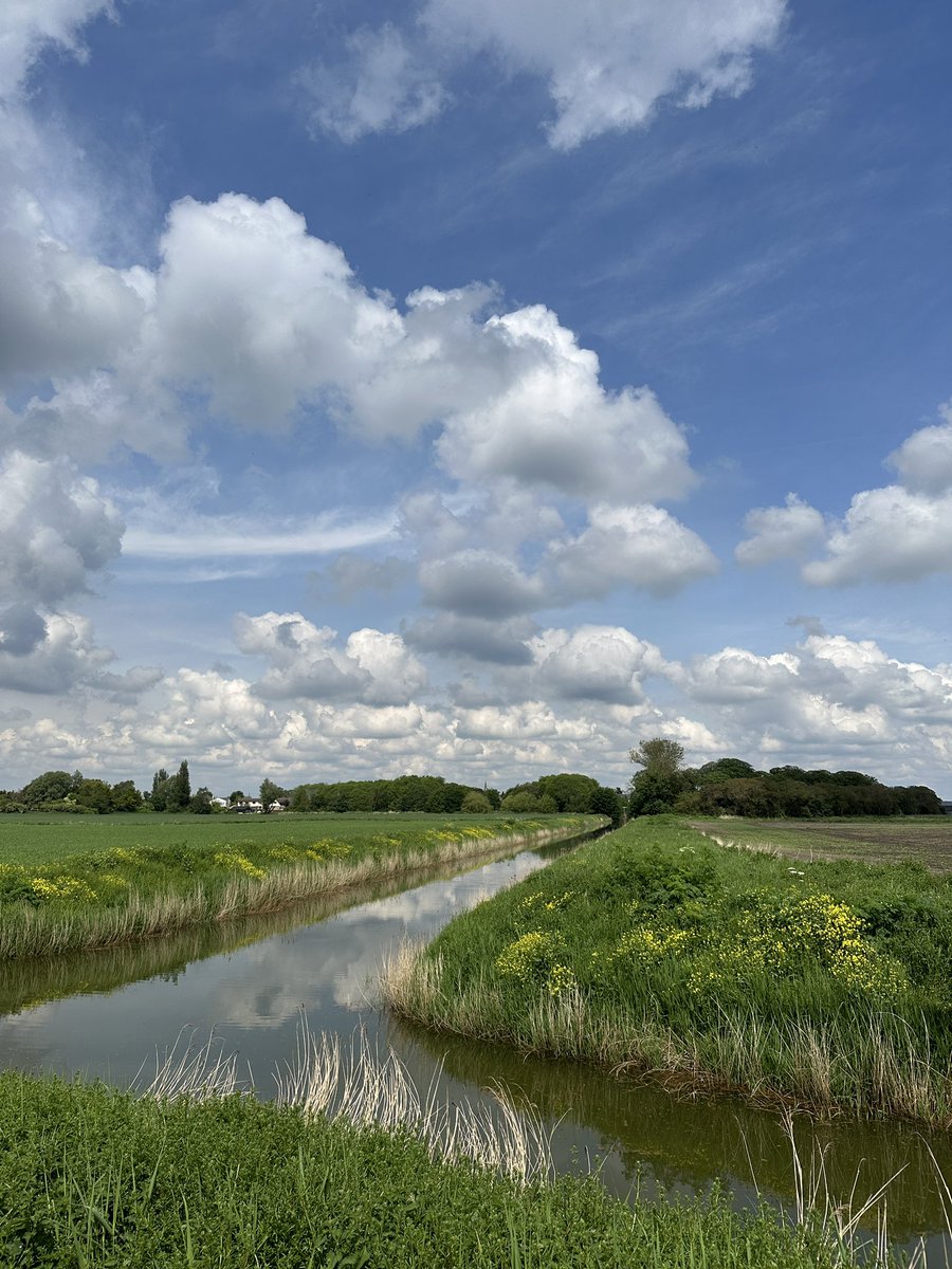 Beautiful clouds & blue sky reflecting in Black wing dyke today at Prickwillow @WeatherAisling @ChrisPage90 @itvweather @Tom_Clarke @StormHour @SpottedInEly @ElyPhotographic @Fen_SCENE @nfum @FarmingUK