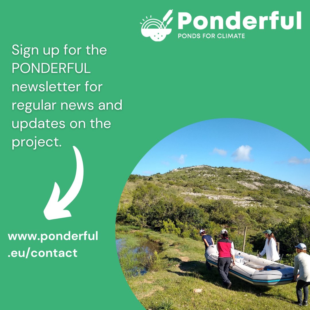 Interested in freshwater? Sign up for the #PONDERFUL newsletter and get our news and updates delivered to your inbox. Sign up: ponderful.eu/contact/ Read previous issues: ponderful.eu/newsletter/