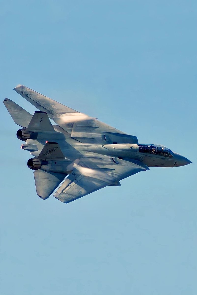 F-14 Tomcat High speed pass #F14 #F14Tomcat #Fighterjet #aviatiindaily #military #navy #aircraft #legendary #highspeed