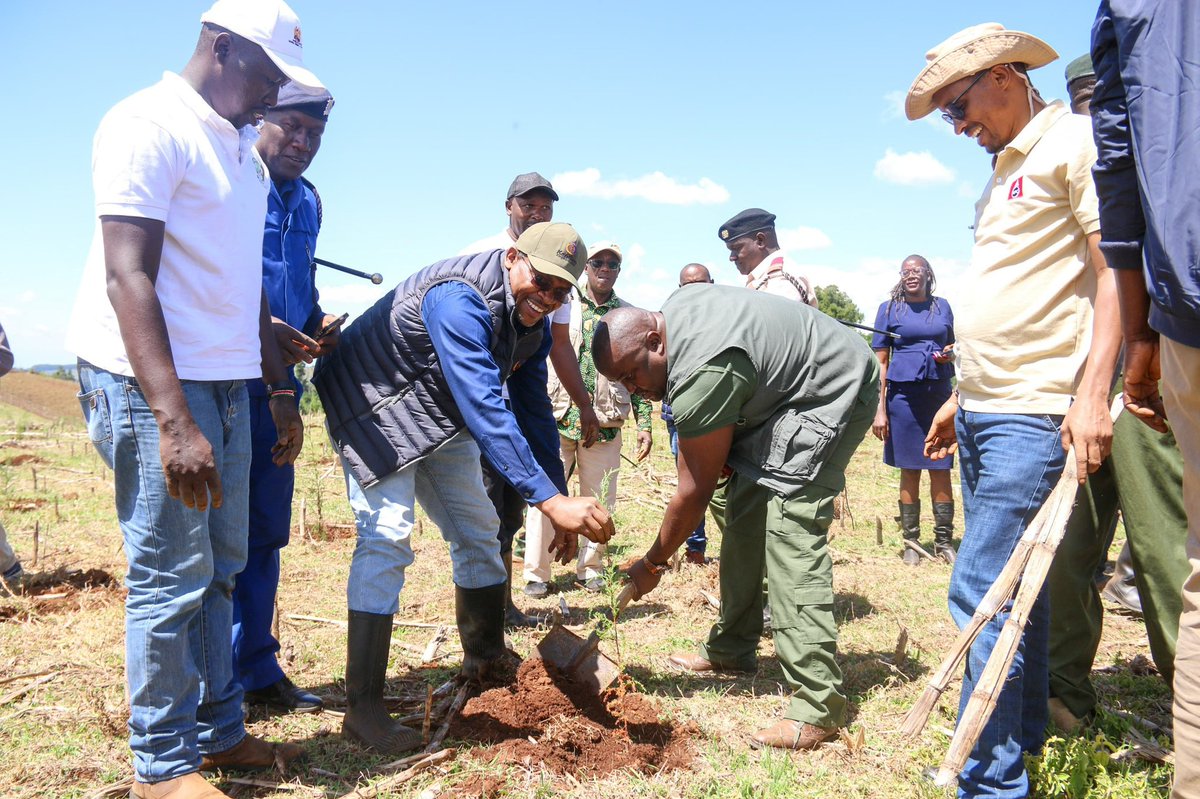 I had the pleasure of joining @Environment_Ke CS @HonTuya, @EnergyMinK PS @AlexKWachira and energy sector colleagues in a tree planting exercise, in Narasha Forest in Koibatek, Baringo County. #SustainableKenGen #JenGaKenGen